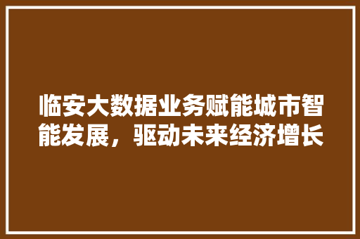 临安大数据业务赋能城市智能发展，驱动未来经济增长