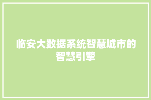 临安大数据系统智慧城市的智慧引擎