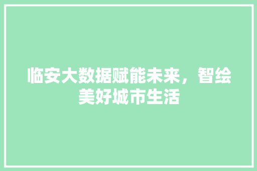 临安大数据赋能未来，智绘美好城市生活