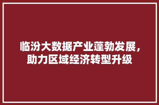 临汾大数据产业蓬勃发展，助力区域经济转型升级