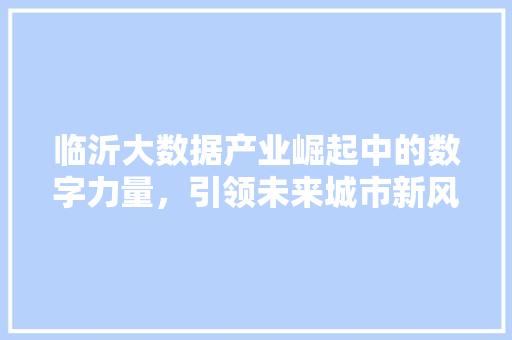 临沂大数据产业崛起中的数字力量，引领未来城市新风尚