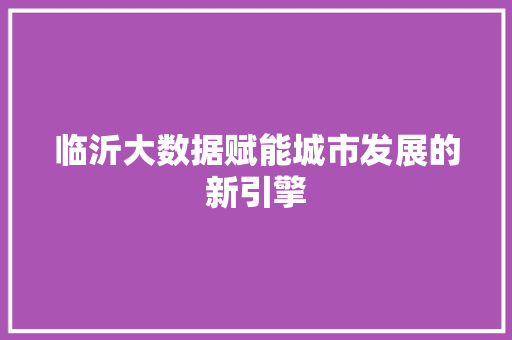 临沂大数据赋能城市发展的新引擎