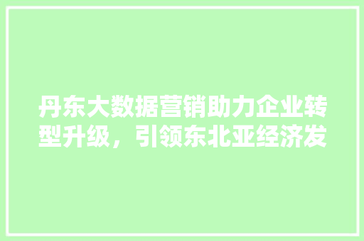 丹东大数据营销助力企业转型升级，引领东北亚经济发展新潮流