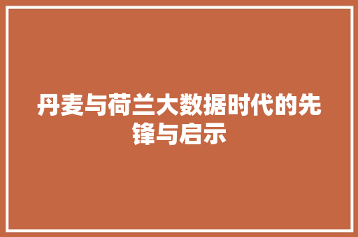 丹麦与荷兰大数据时代的先锋与启示