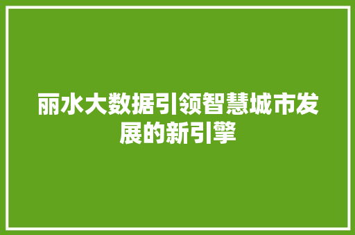 丽水大数据引领智慧城市发展的新引擎
