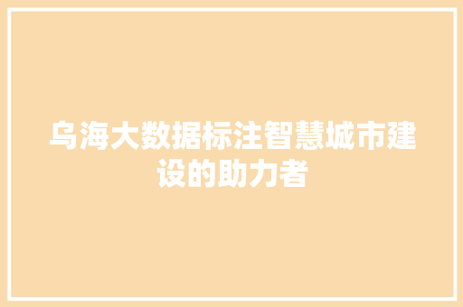 乌海大数据标注智慧城市建设的助力者