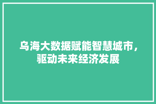 乌海大数据赋能智慧城市，驱动未来经济发展