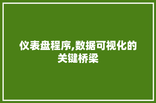 仪表盘程序,数据可视化的关键桥梁