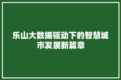 乐山大数据驱动下的智慧城市发展新篇章