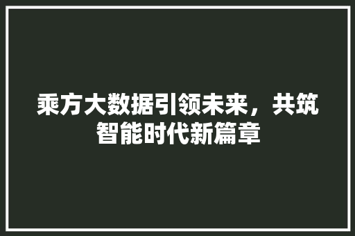 乘方大数据引领未来，共筑智能时代新篇章