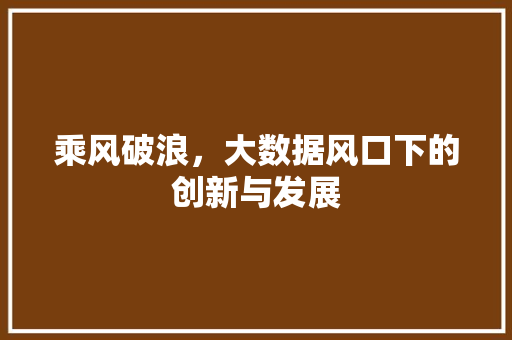 乘风破浪，大数据风口下的创新与发展