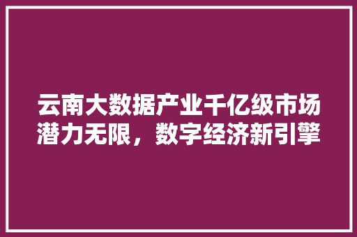 云南大数据产业千亿级市场潜力无限，数字经济新引擎助力腾飞