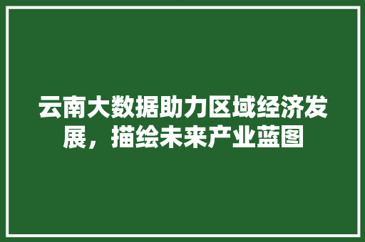 云南大数据助力区域经济发展，描绘未来产业蓝图