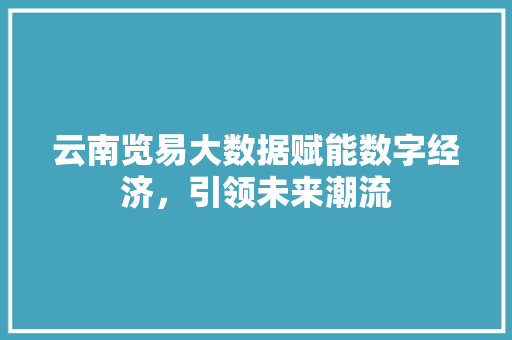 云南览易大数据赋能数字经济，引领未来潮流