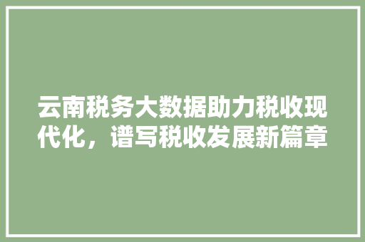 云南税务大数据助力税收现代化，谱写税收发展新篇章