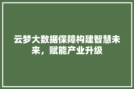 云梦大数据保障构建智慧未来，赋能产业升级