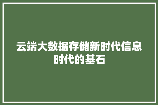 云端大数据存储新时代信息时代的基石