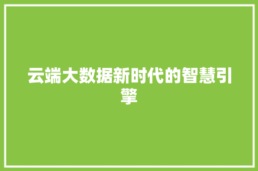 云端大数据新时代的智慧引擎