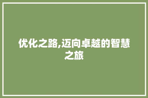 优化之路,迈向卓越的智慧之旅