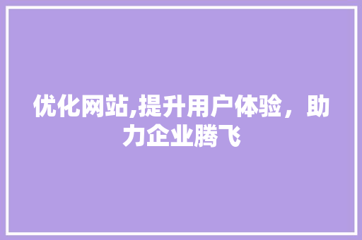优化网站,提升用户体验，助力企业腾飞