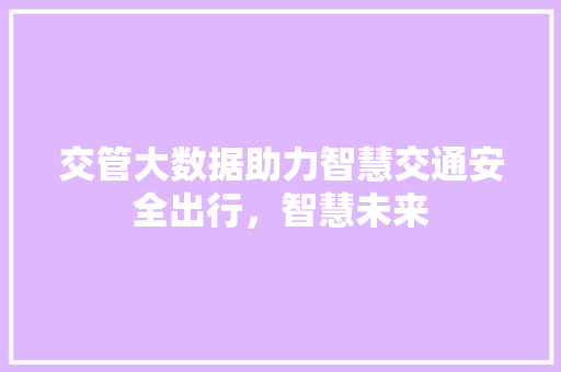 交管大数据助力智慧交通安全出行，智慧未来