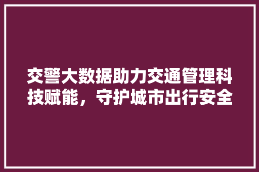 交警大数据助力交通管理科技赋能，守护城市出行安全