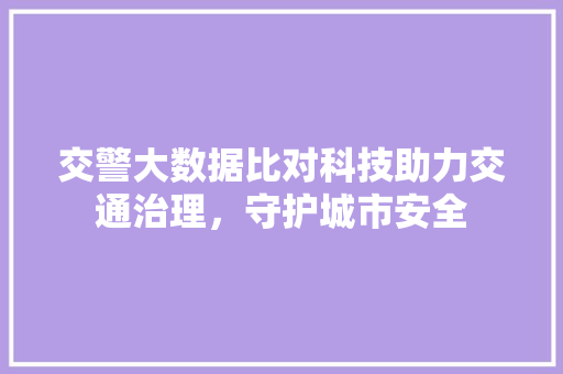 交警大数据比对科技助力交通治理，守护城市安全