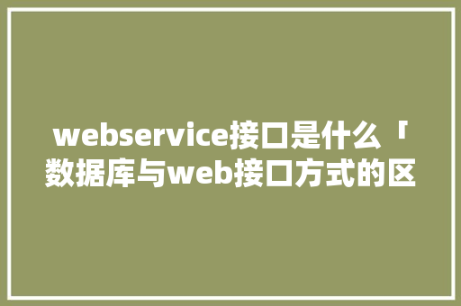 webservice接口是什么「数据库与web接口方式的区别」 SEO教程