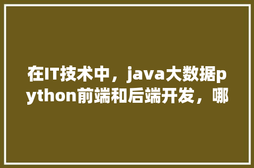 在IT技术中，java大数据python前端和后端开发，哪个更容易上手「web后端连接数据库」