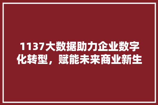 1137大数据助力企业数字化转型，赋能未来商业新生态
