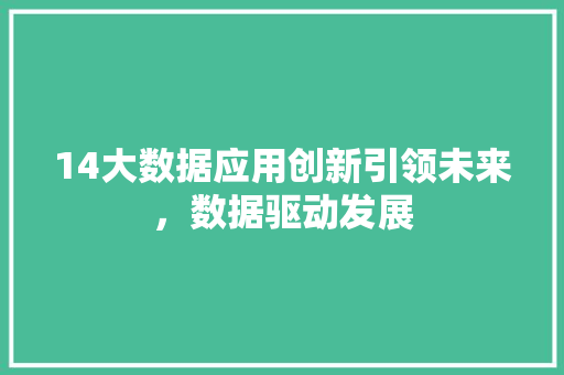 14大数据应用创新引领未来，数据驱动发展