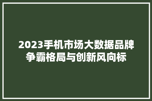 2023手机市场大数据品牌争霸格局与创新风向标 友链在线
