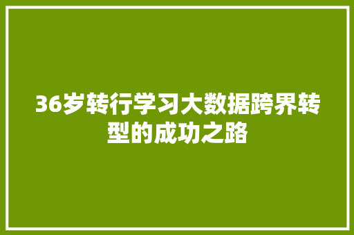 36岁转行学习大数据跨界转型的成功之路 SEO教程