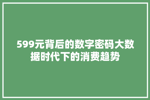 599元背后的数字密码大数据时代下的消费趋势