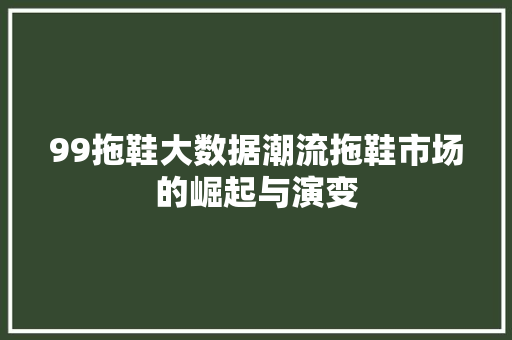 99拖鞋大数据潮流拖鞋市场的崛起与演变