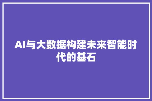 AI与大数据构建未来智能时代的基石