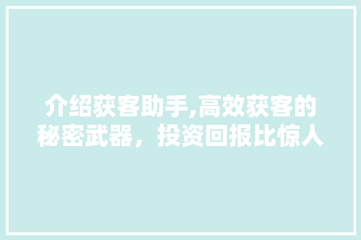 介绍获客助手,高效获客的秘密武器，投资回报比惊人！
