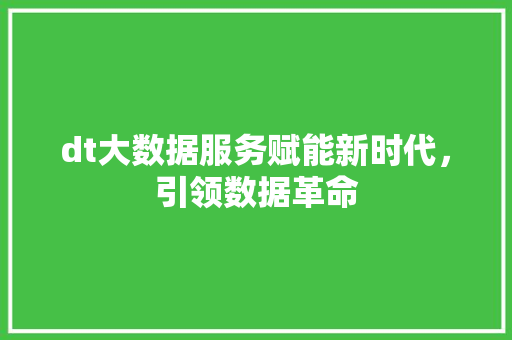 dt大数据服务赋能新时代，引领数据革命