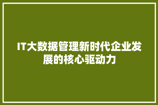 IT大数据管理新时代企业发展的核心驱动力