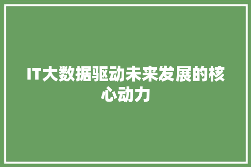 IT大数据驱动未来发展的核心动力