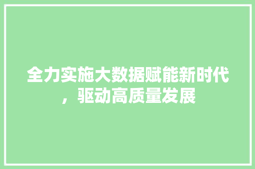 全力实施大数据赋能新时代，驱动高质量发展