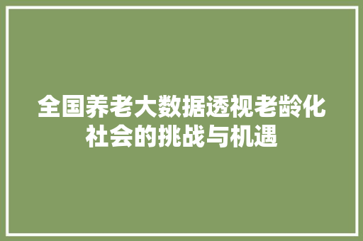 全国养老大数据透视老龄化社会的挑战与机遇