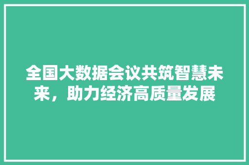 全国大数据会议共筑智慧未来，助力经济高质量发展