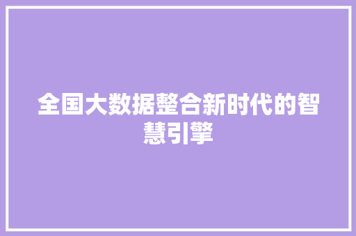 全国大数据整合新时代的智慧引擎