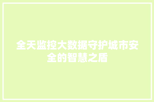 全天监控大数据守护城市安全的智慧之盾