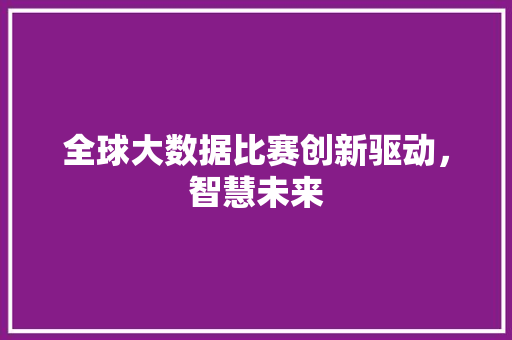 全球大数据比赛创新驱动，智慧未来