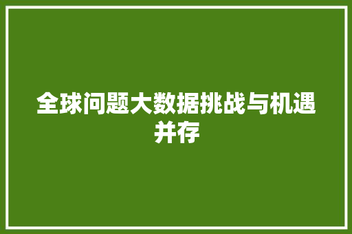 全球问题大数据挑战与机遇并存