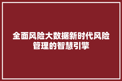 全面风险大数据新时代风险管理的智慧引擎