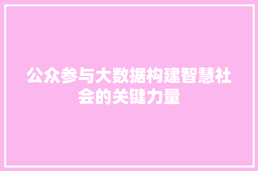公众参与大数据构建智慧社会的关键力量