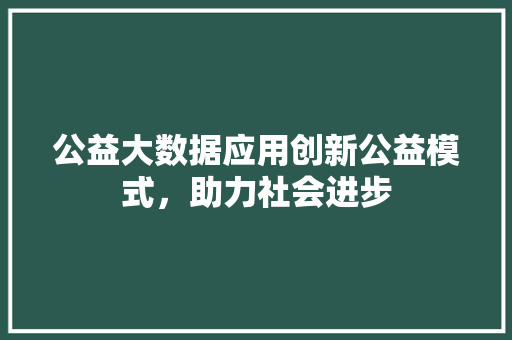 公益大数据应用创新公益模式，助力社会进步